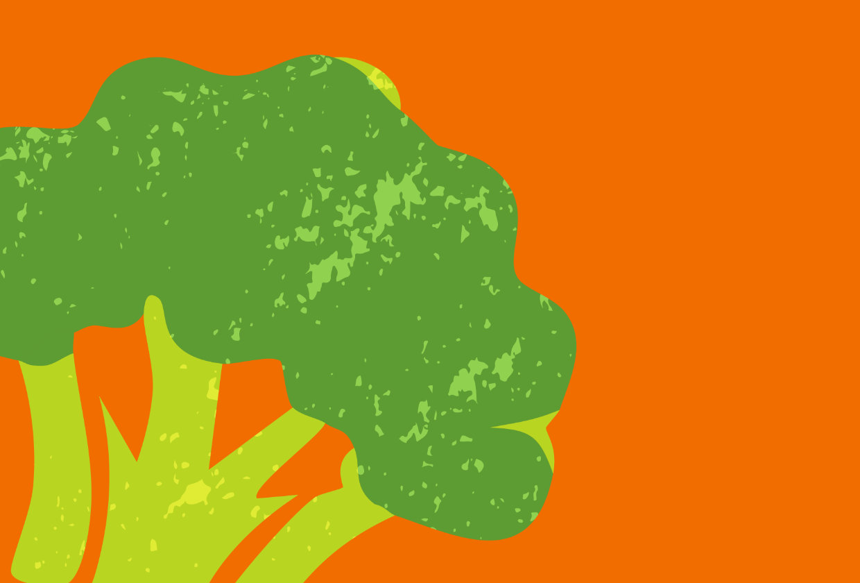 illustration of a broccoli on an orange background