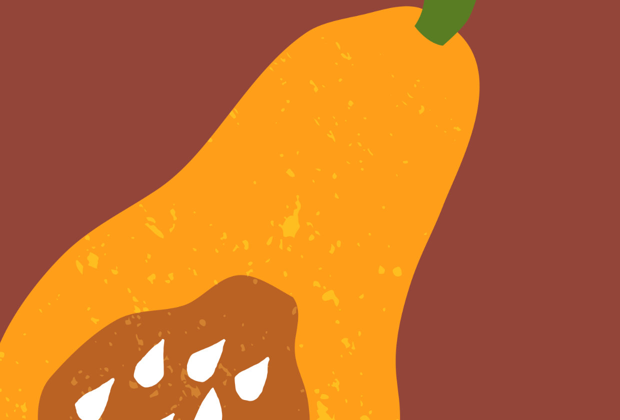 illustration of a buttnernut sqaush on a brown background